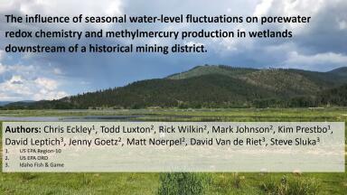 The influence of seasonal water-level fluctuations on porewater redox chemistry and methylmercury production in wetlands